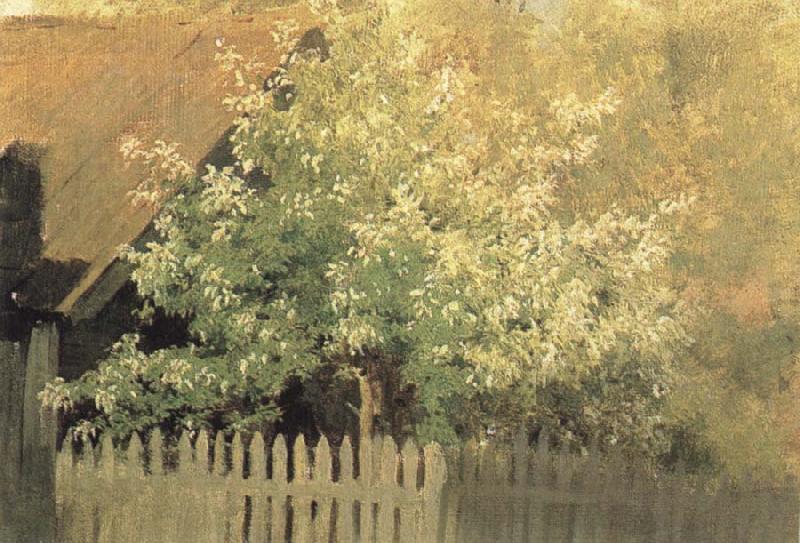 Faulbeerbaum, Levitan, Isaak